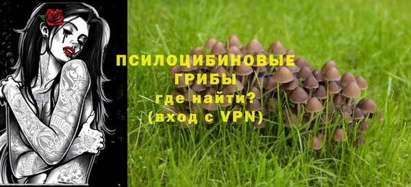 эйфоретик Верхний Тагил