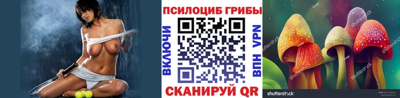 где можно купить наркотик  Медногорск  Галлюциногенные грибы Cubensis 