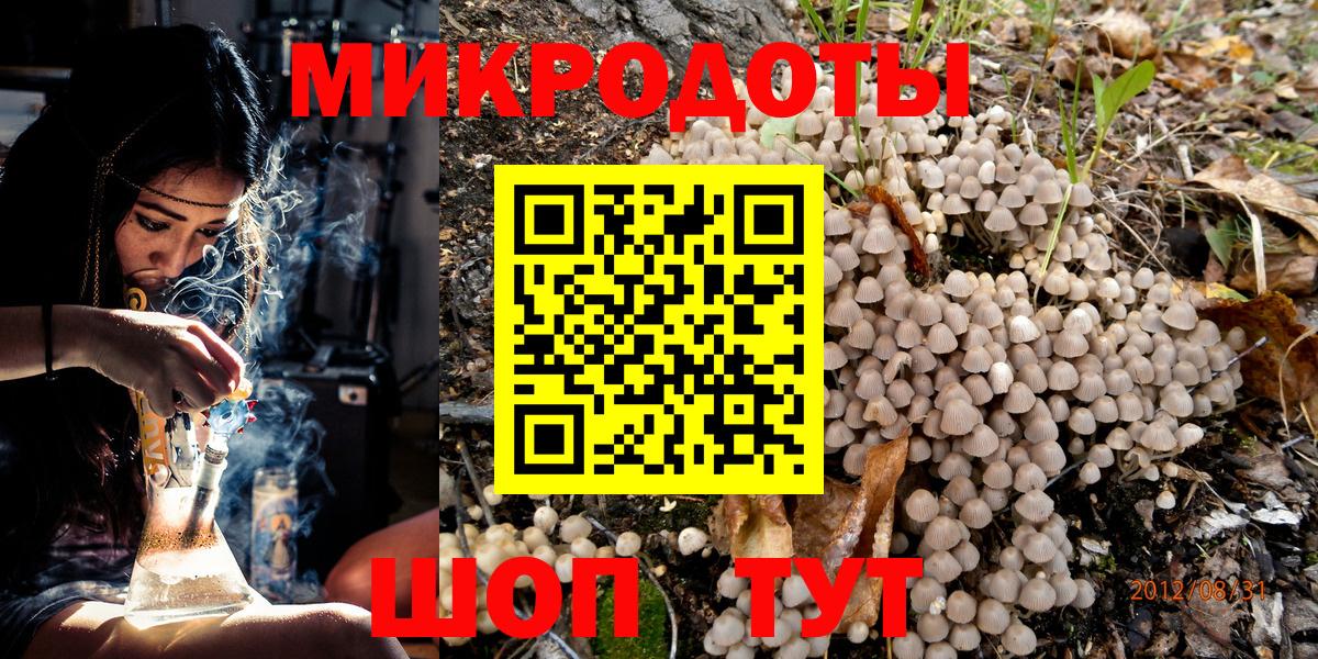 Псилоцибиновые грибы мухоморы Медногорск
