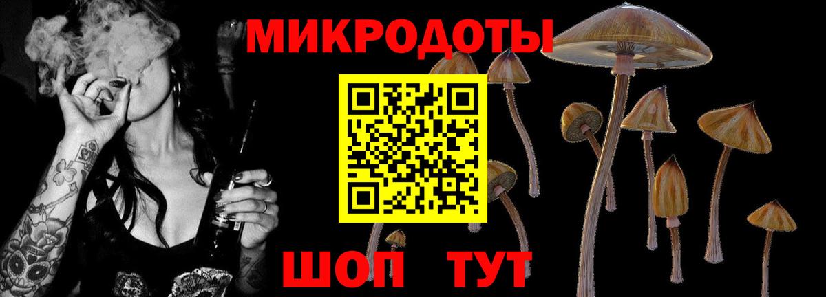 Медногорск  Галлюциногенные грибы Psilocybe  Галлюциногенные грибы Psilocybe  Вход с VPN 